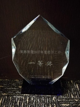 九洲国际荣获“2017年度武林街道经济工作一等奖”