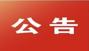 九洲国际贸易集团有限公司十五五战略规划咨询服务项目竞争性磋商公告